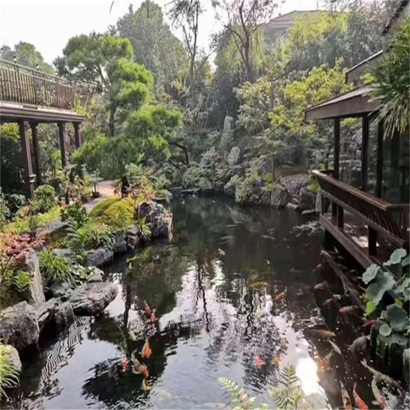 东阳小庭院假山鱼池
